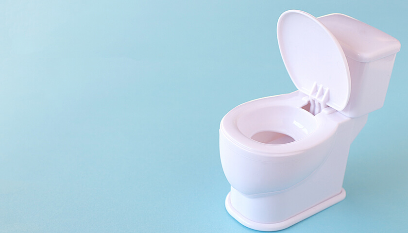 ����Υȥ���ǽϿ�Ǥ���������Τ��뤵���ĤŤ��Ƥ���